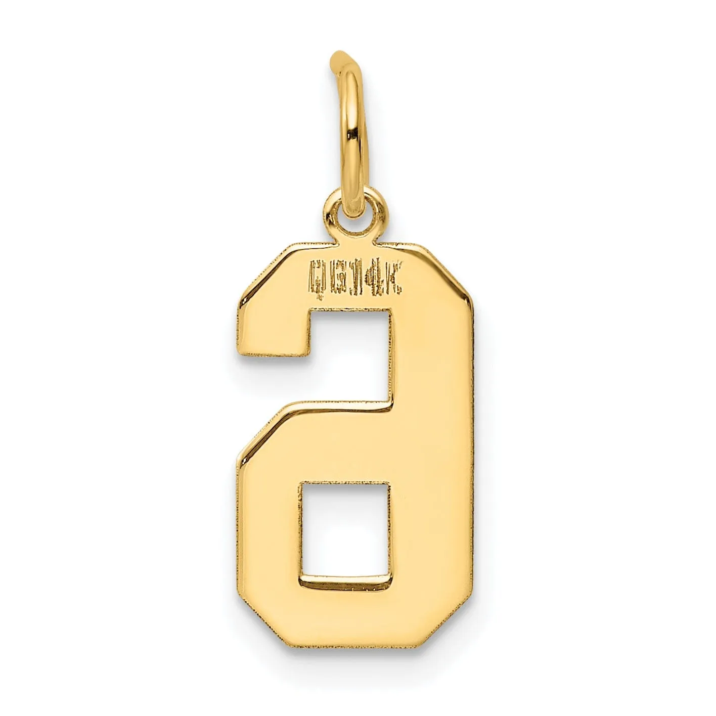 14K Yellow Gold Polished Finish Medium Size Number 6 Charm Pendant