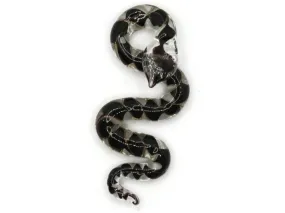 Black and Clear Spiral Glass Snake Pendant