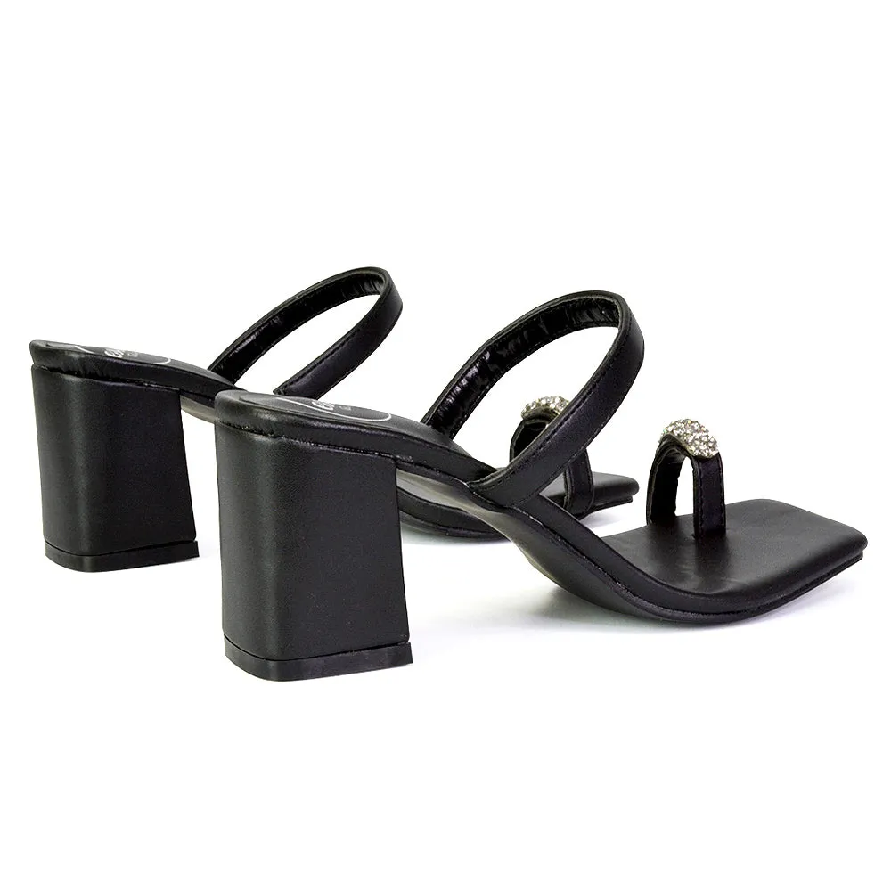 Daiquiri Double Strap Square Toe Ring Block Heel Sandals in Black