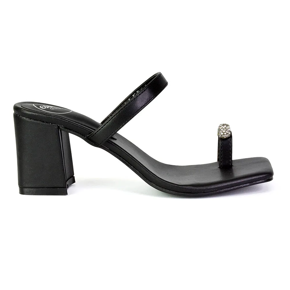 Daiquiri Double Strap Square Toe Ring Block Heel Sandals in Black