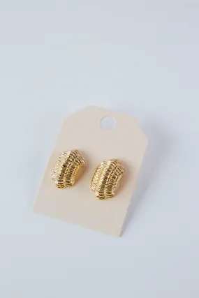 Hunter Curved Texture Metal Earrings