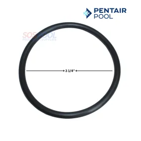 Pentair Diffuser O-ring For WhisperFloXF And IntelliFloXF Pumps | 350336