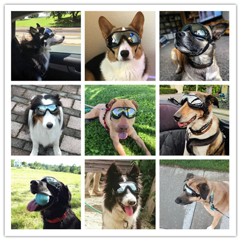 Pet Glasses Goggles Waterproof Windproof Sun Protection UV Protection